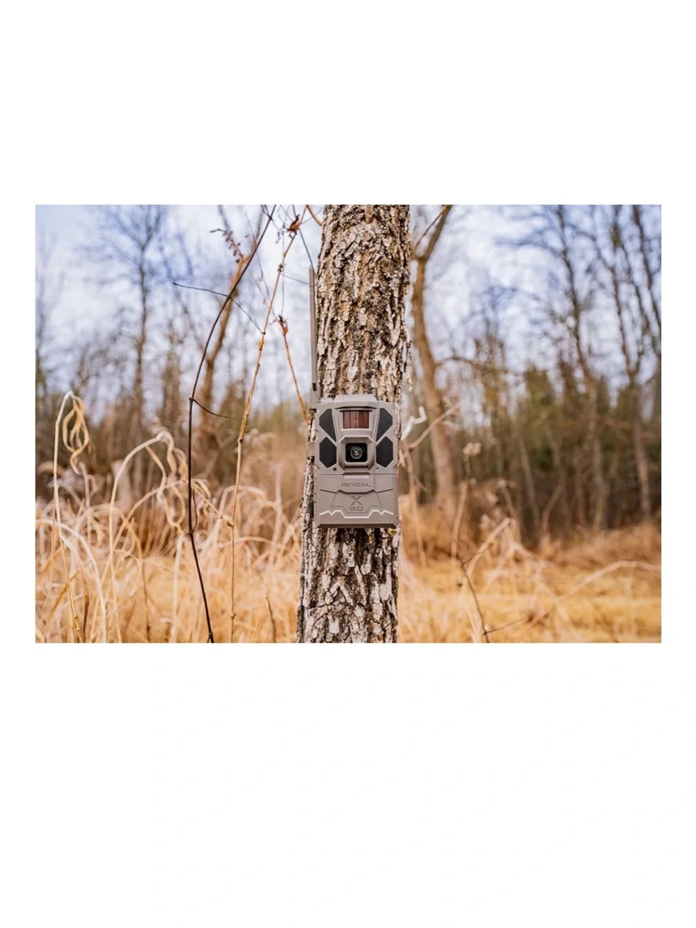 Reveal X 3.0 Cellular Trail Cam